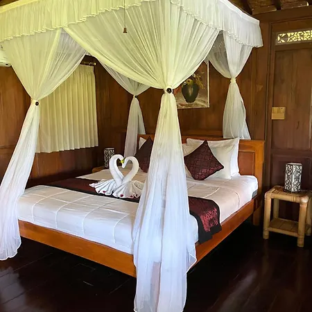 Green Paddy Hostel & Villa-3